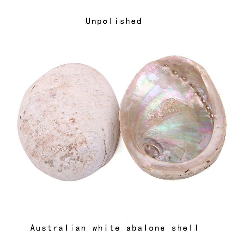 12-16CM doğal yeni zelanda Aba - Jewelry Making New Zealand incelemesi ve fiyatı